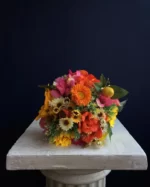 renkli gelin çiçeği