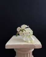 gala gelin çiçeği