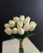 ıslak lale gelin çiçeği