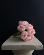 Pembe Şakayık Gelin Çiçeği