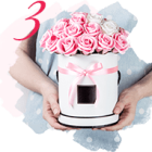 flowers-infobox-3-img-opt